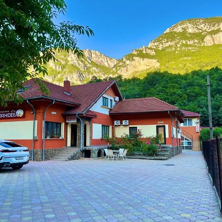 Pensiunea Orhideea Băile Herculane Esterno foto