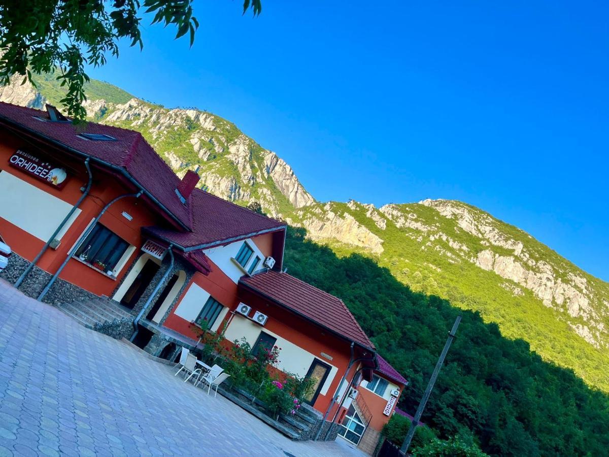 Pensiunea Orhideea Băile Herculane Esterno foto