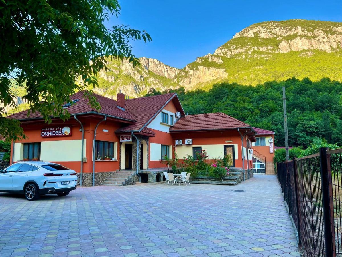 Pensiunea Orhideea Băile Herculane Esterno foto